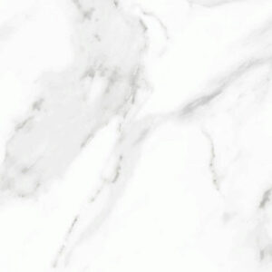 AEDEA POLISHED REC 15.50 SF/BX