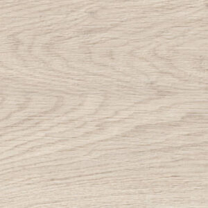 Vasey Maple