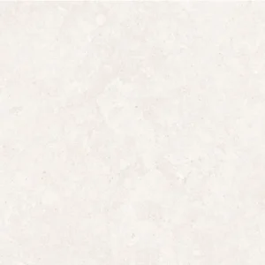 Bedford White C-1 - porcelains