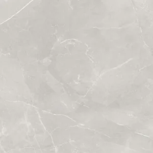 Moon Light Polished - porcelains