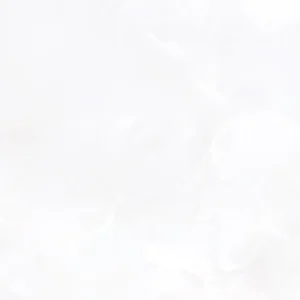 Prestige White Matt - porcelains