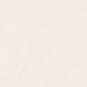 Start Light Matte - porcelains