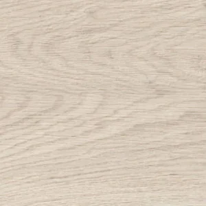 Vasey Maple - porcelains